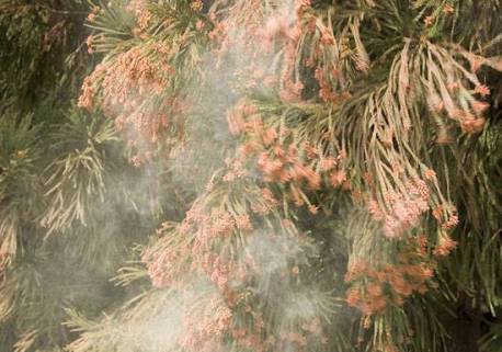 B4F2AF6E-9209-446D-AEDF-97AB760EA92F