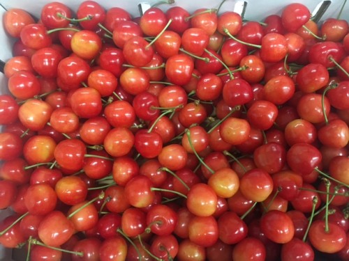 FullS444444izeRender