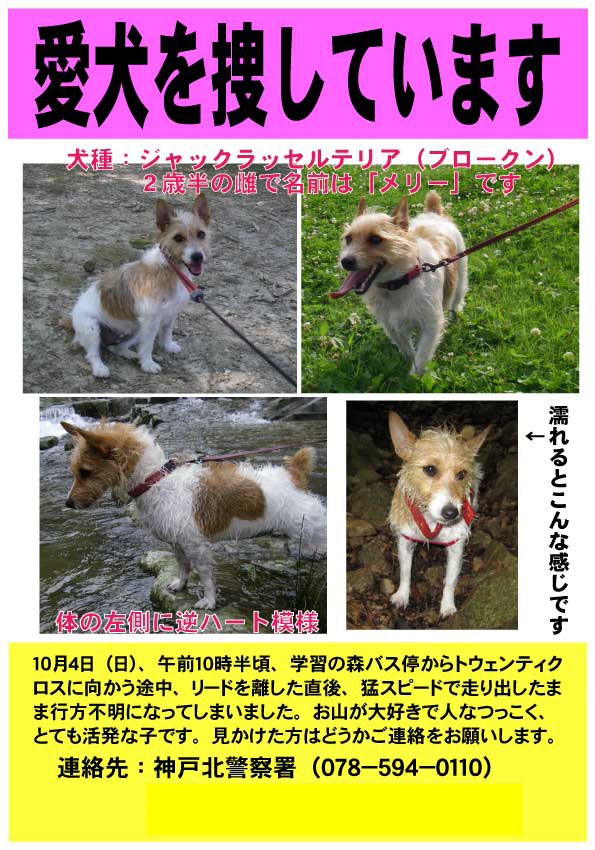 Photo Photo