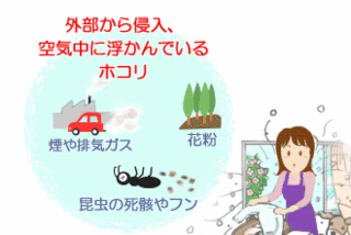 img01-01.gif