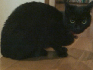 ファイル 10-5.jpg