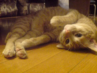 ファイル 2-2.jpg