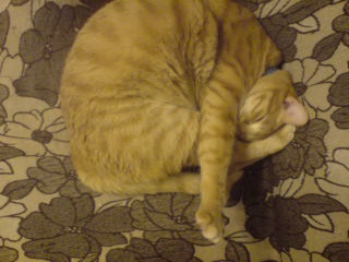 ファイル 3-2.jpg