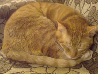 ファイル 3-3.jpg