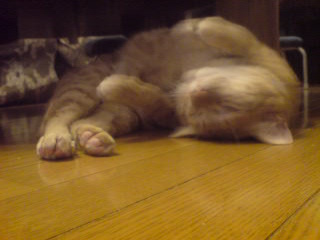 ファイル 5-3.jpg