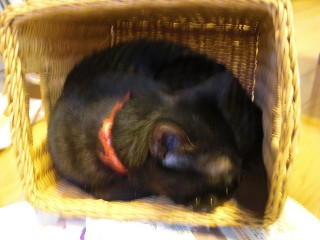 ファイル 7-2.jpg