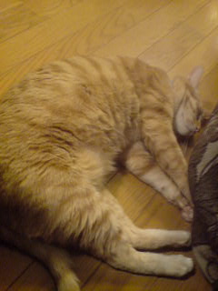 ファイル 8-2.jpg