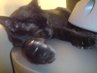 ファイル 9-2.jpg