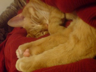 ファイル 9-3.jpg