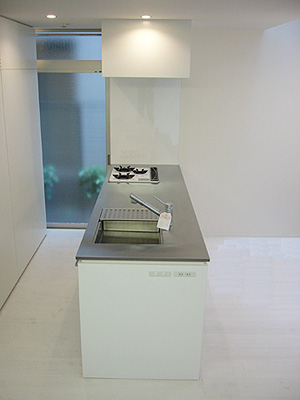 深澤邸.jpg