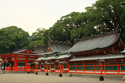 桃太郎ぶどう