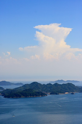 桃太郎ぶどう