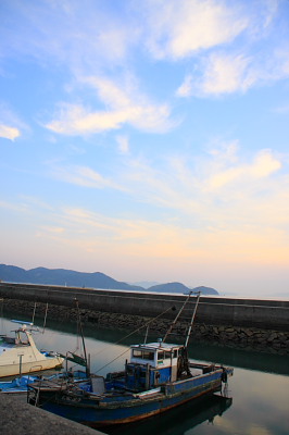 桃太郎ぶどう