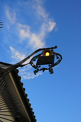 桃太郎ぶどう