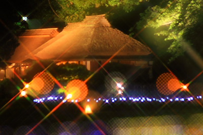 桃太郎ぶどう【大福】桃太郎ぶどう