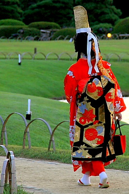 桃太郎ぶどう【大福】桃太郎ぶどう