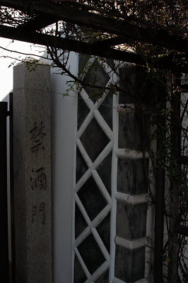 桃太郎ぶどう