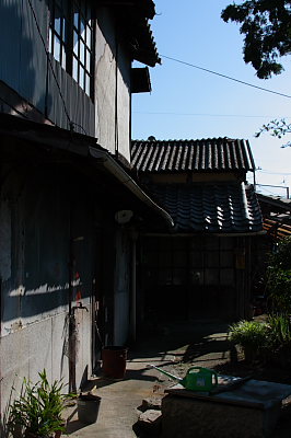 桃太郎ぶどう