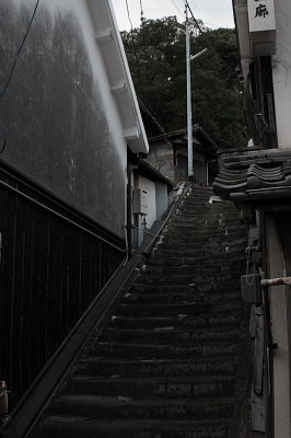 桃太郎ぶどう