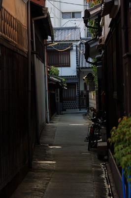 桃太郎ぶどう