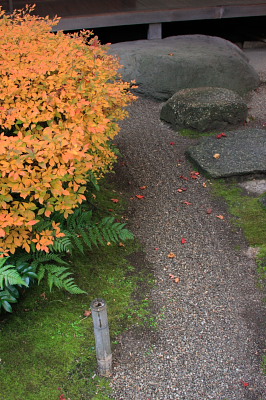 花びら餅