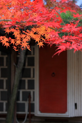 花びら餅