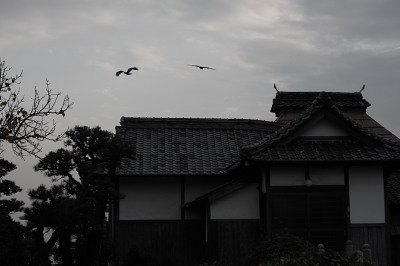 花びら餅