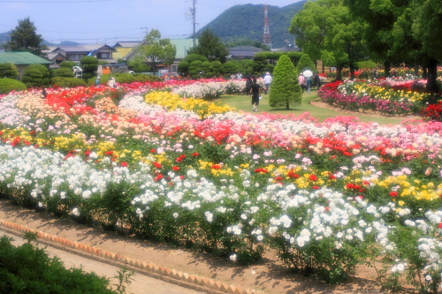 お中元ギフト