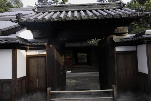 桃太郎ぶどう【大福】桃太郎ぶどう