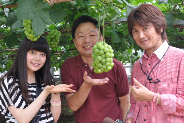南波志保　和菓子　あきめき