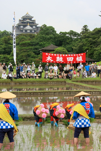 お中元ギフト