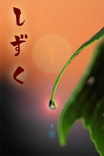 桃太郎ぶどう【大福】桃太郎ぶどう