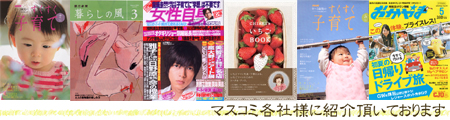 和菓子をマスコミ紹介