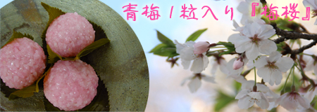 桜餅の青梅入り『梅桜』