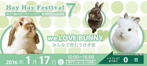 HayHayFestival