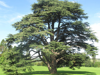 ???? ??ÂÂ・ÂÂ?? ???? ??¼ã|ã???? ???? A A A ?? ???? ??®ç»åますます????ユーロ¢??ç'çμますます？？？？？