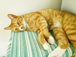 2014-07-06 15.49.29.jpg