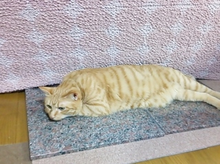 2014-07-08 21.03.04.jpg