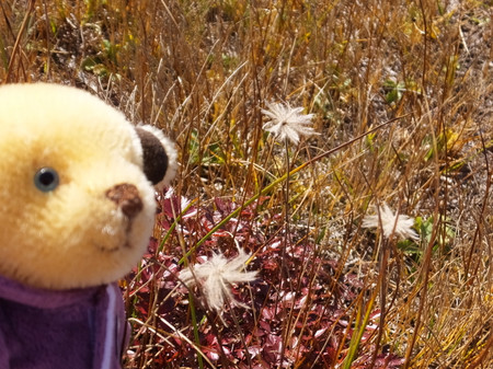 35dscf5442 35dscf5442