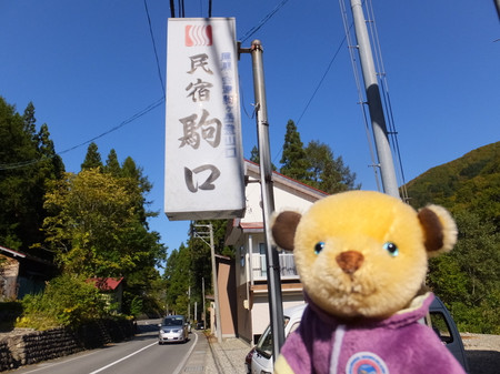 49dscf5529 49dscf5529