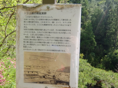 11dscf6049
