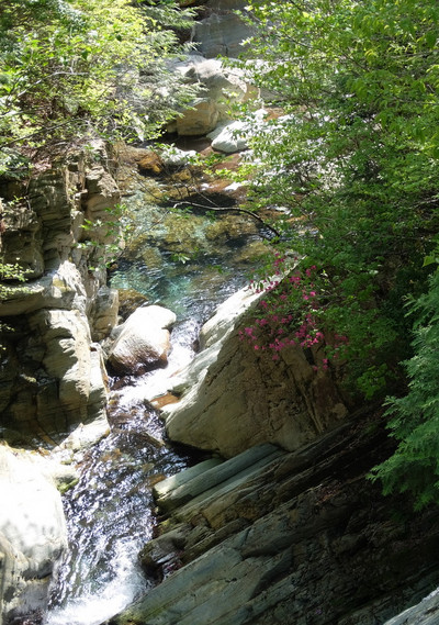 12dscf6051
