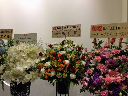 kaalfina 029_edited-1