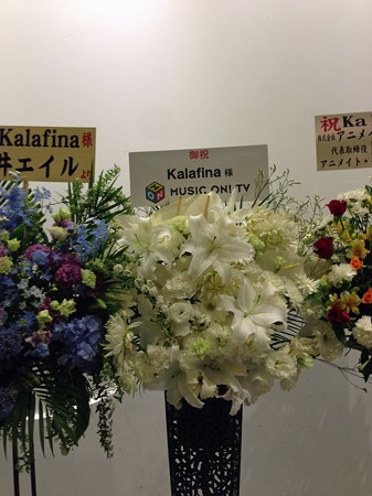 kaalfina 033_edited-1