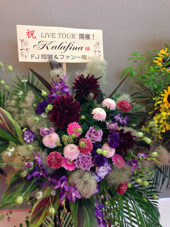 kalafinaip 008_edited-1