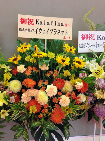 kalafinaip 011_edited-1