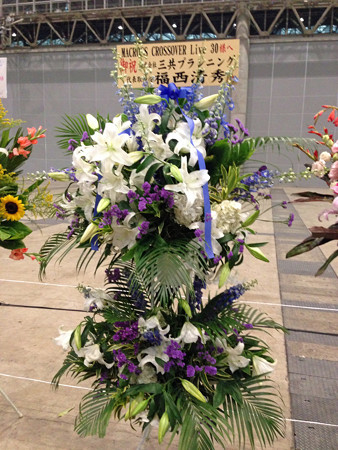 Macrossip 007_edited-1