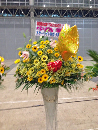 Macrossip 009_edited-1