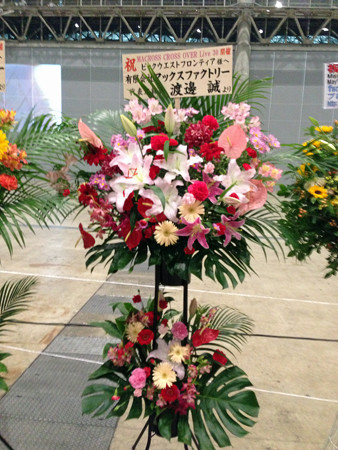 Macrossip 011_edited-1