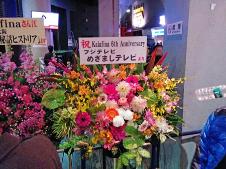 IMG_20140123_213346_edited-1